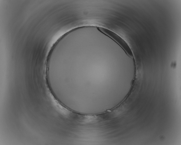 X0000110701144200907021951