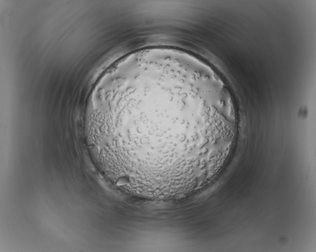 X0000110701145200907021951