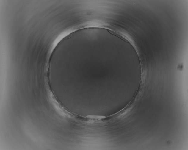 X0000110701146200907021951