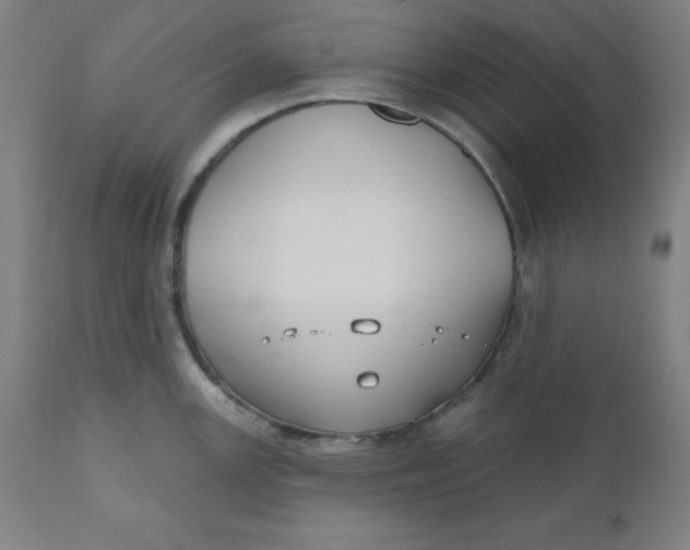 X0000110701147200907021951