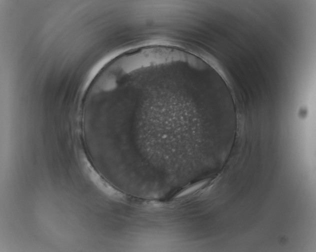 X0000110701148200907021951