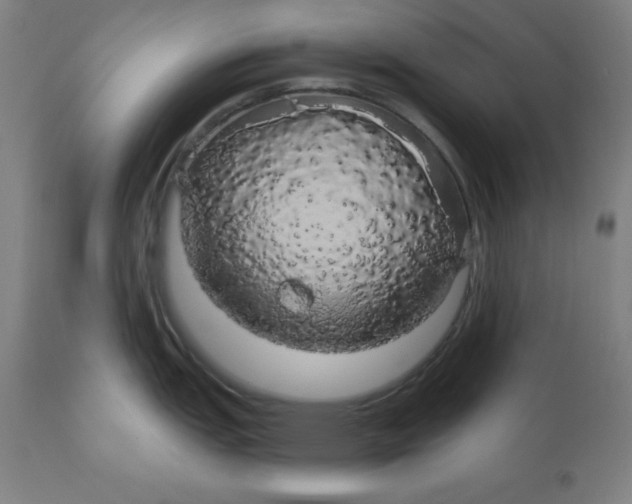 X0000110701151200907021951