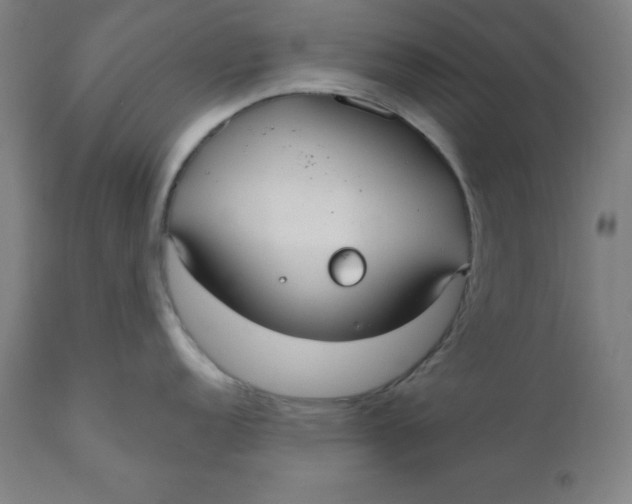 X0000110701152200907021951