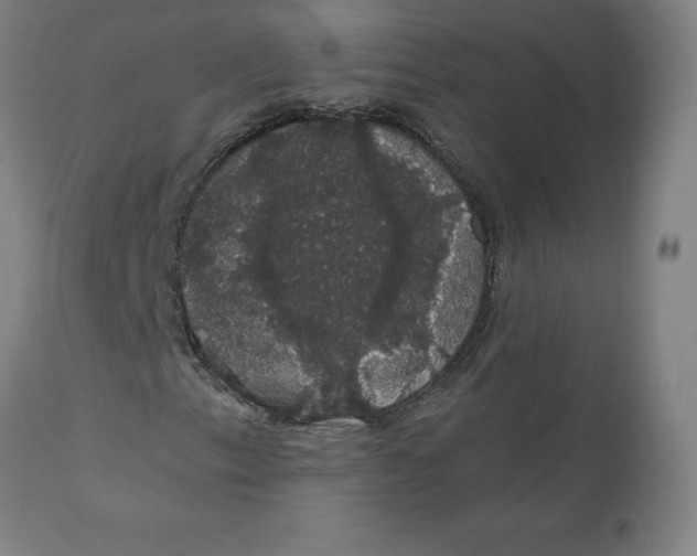 X0000110701153200907021951