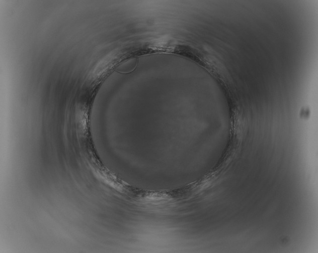 X0000110701154200907021951