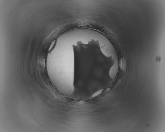 X0000110701155200907021951