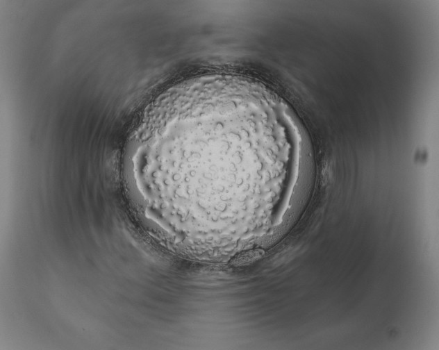 X0000110701156200907021951