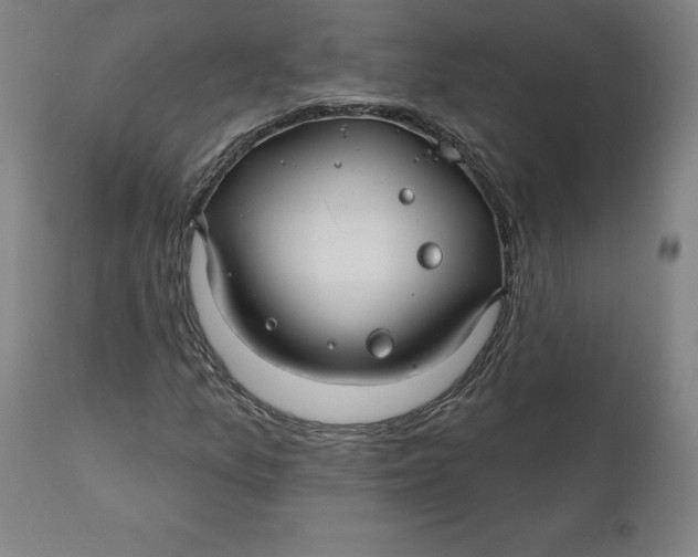 X0000110701157200907021951