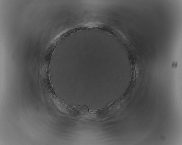 X0000110701158200907021951