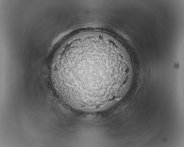 X0000110701160200907021951