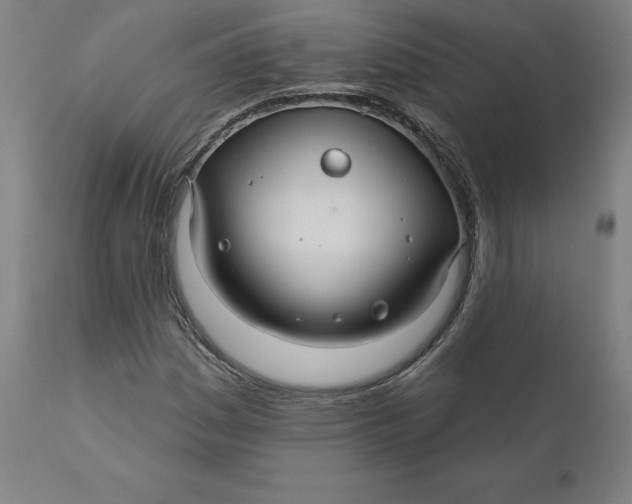 X0000110701161200907021951