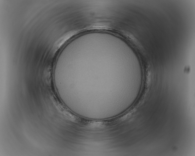 X0000110701162200907021951