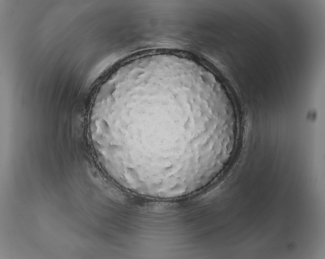 X0000110701163200907021951