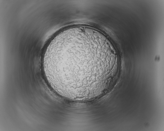 X0000110701164200907021951