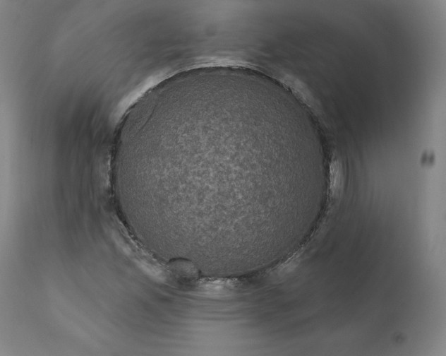 X0000110701165200907021951