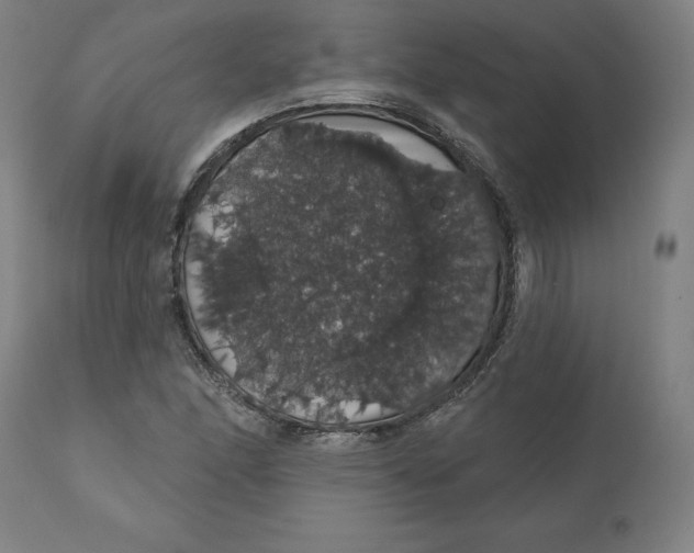 X0000110701166200907021951