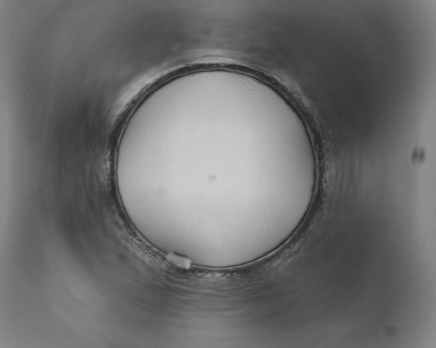 X0000110701167200907021951