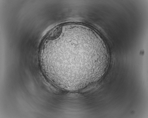 X0000110701168200907021951