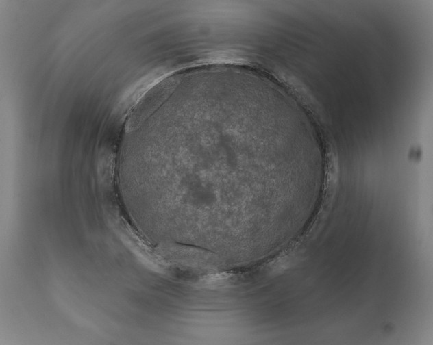 X0000110701169200907021951