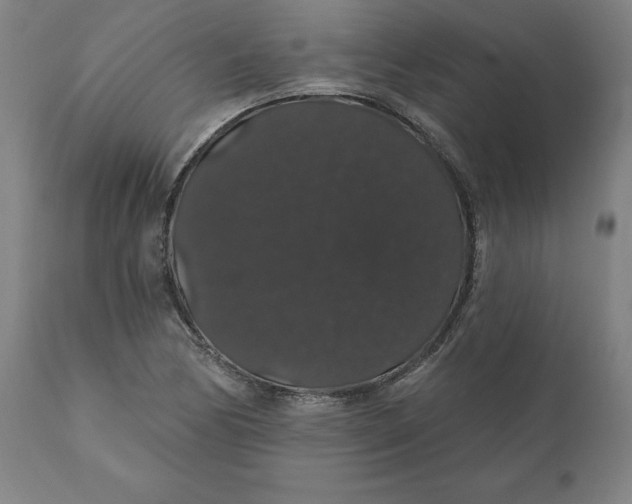 X0000110701170200907021951