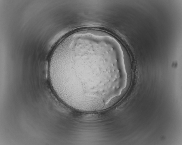 X0000110701171200907021950