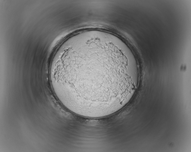 X0000110701172200907021950