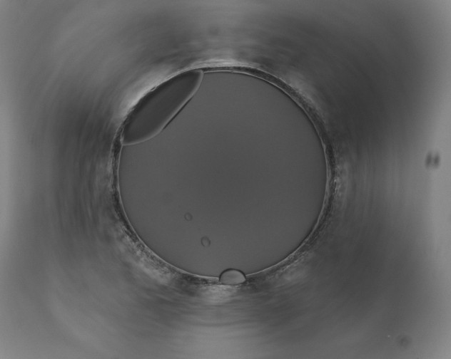 X0000110701173200907021950