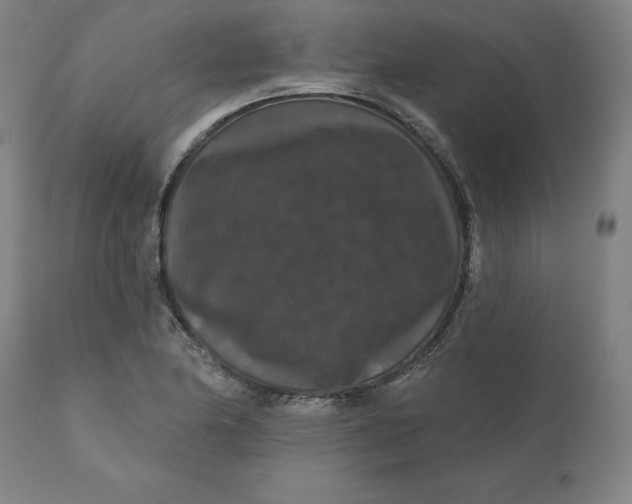 X0000110701174200907021950