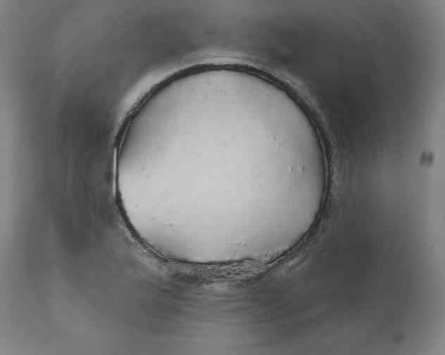 X0000110701175200907021950