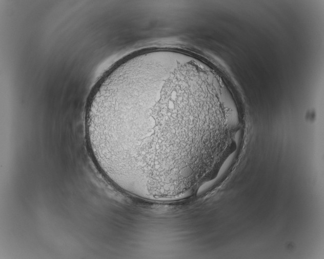 X0000110701176200907021950