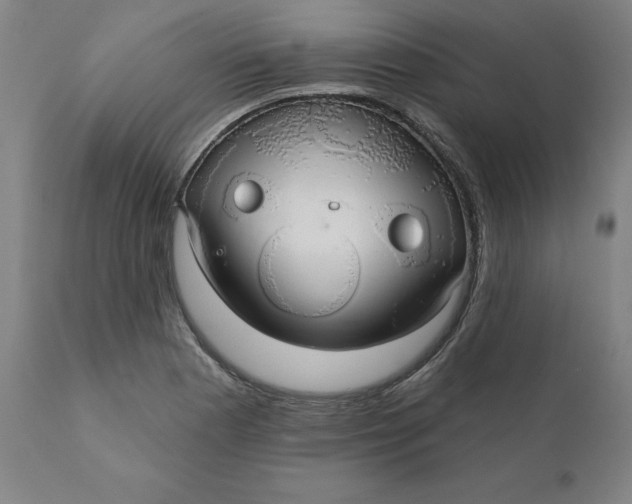 X0000110701177200907021950