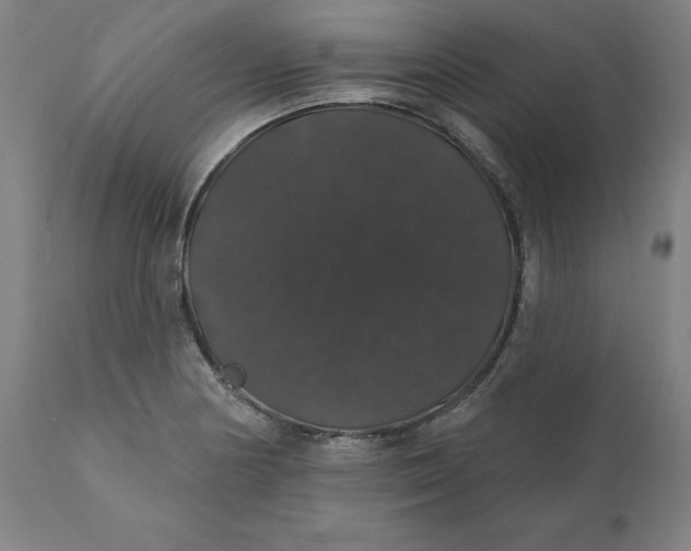 X0000110701178200907021950