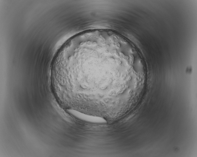 X0000110701179200907021950