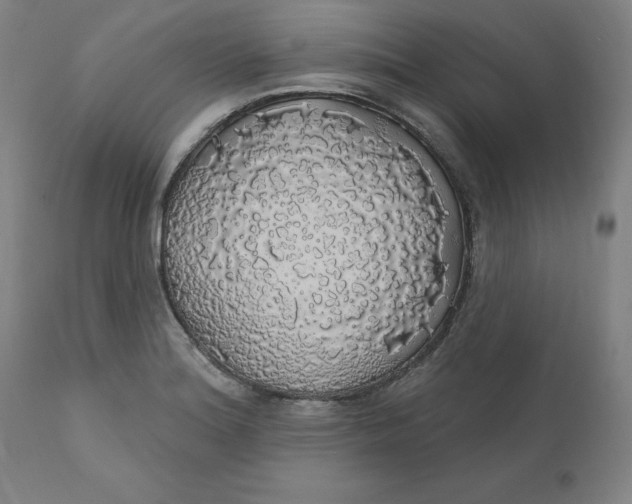 X0000110701180200907021950