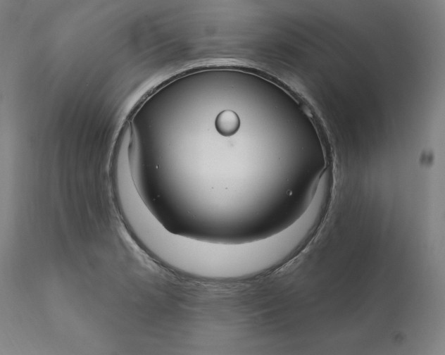 X0000110701181200907021950