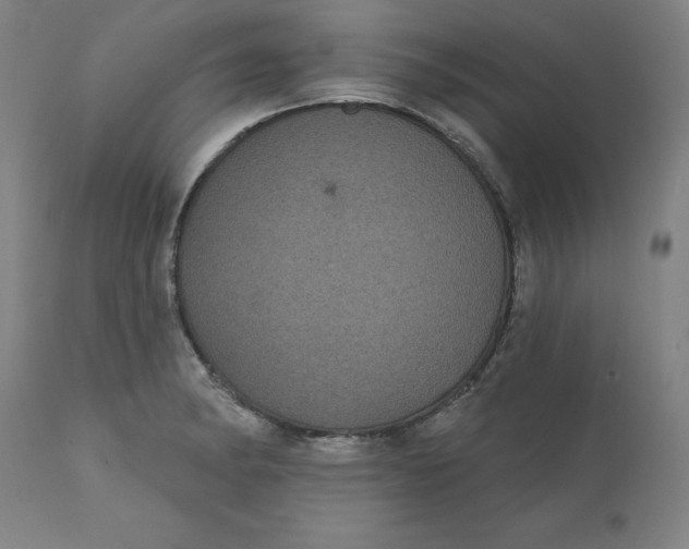 X0000110701182200907021950