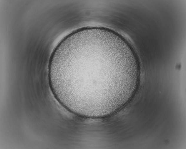 X0000110701183200907021950