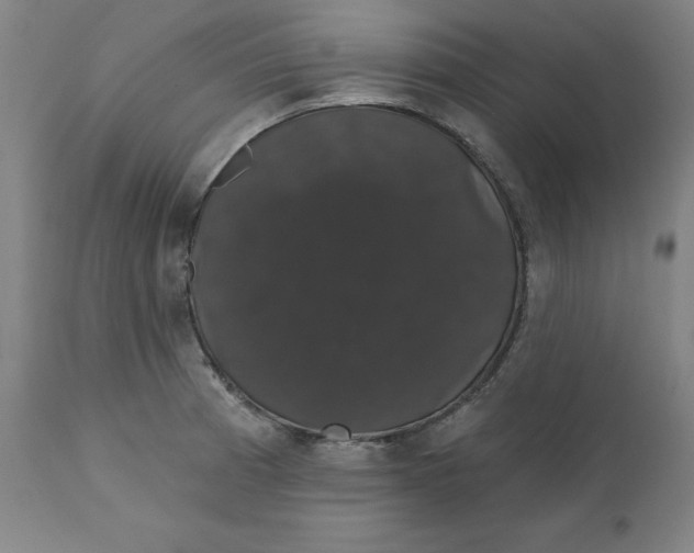 X0000110701185200907021950