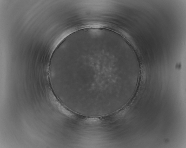 X0000110701186200907021950