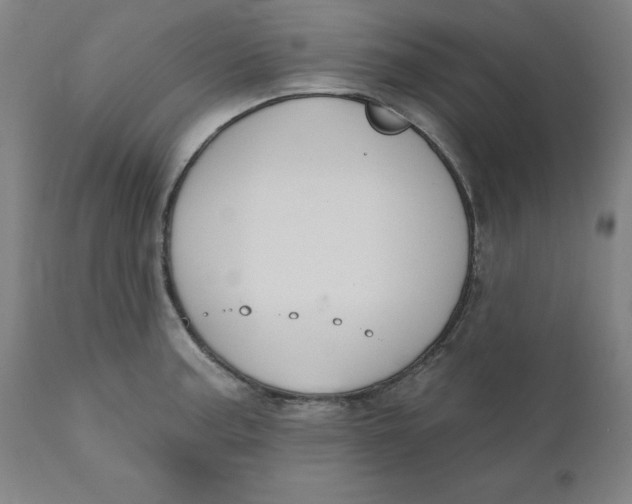 X0000110701187200907021950