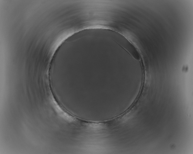 X0000110701189200907021950