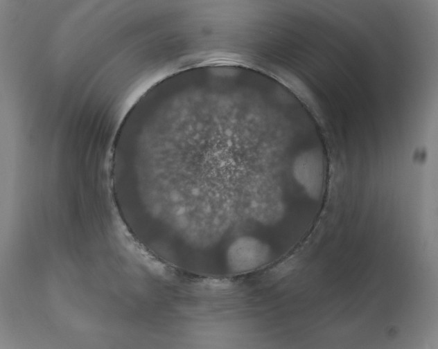 X0000110701190200907021950