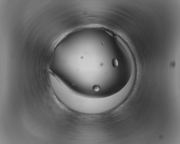 X0000110701193200907021950