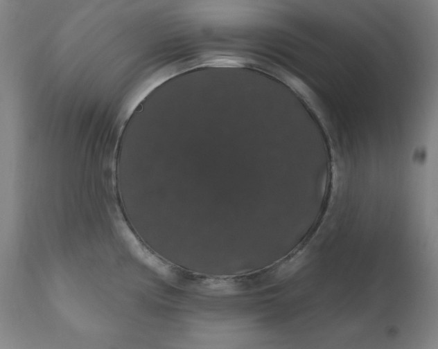 X0000110701194200907021950