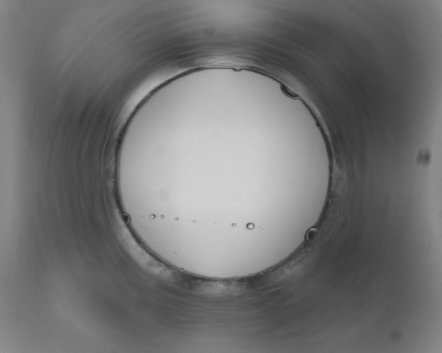 X0000110701195200907021950