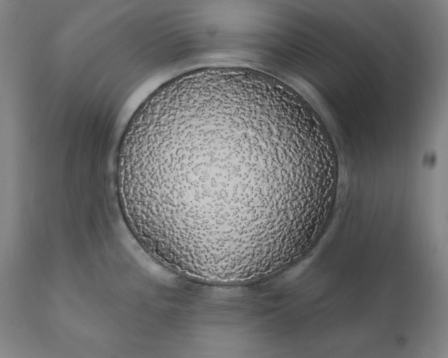 X0000110701196200907021950