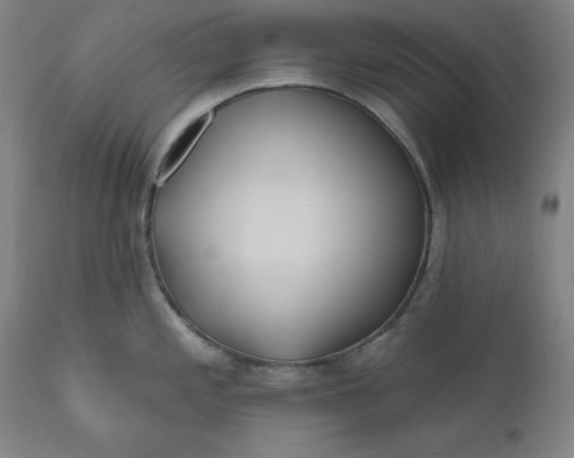 X0000110701197200907021950