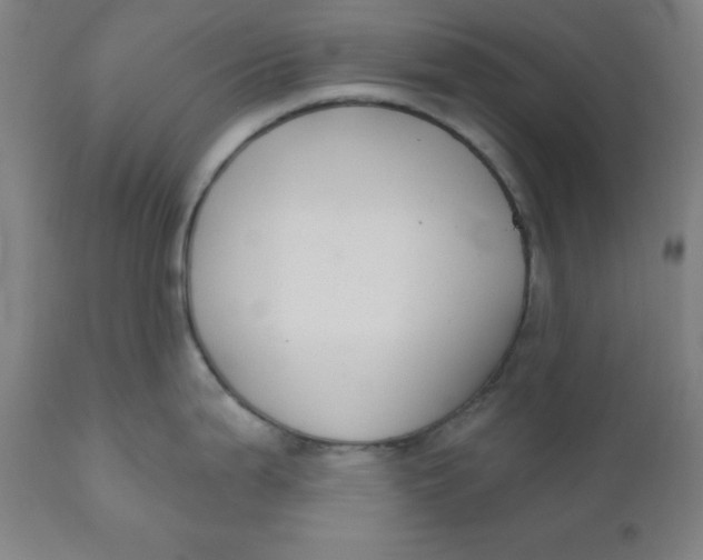 X0000110701199200907021950