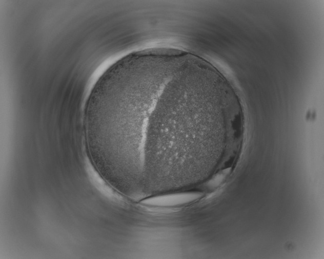 X0000110701200200907021950