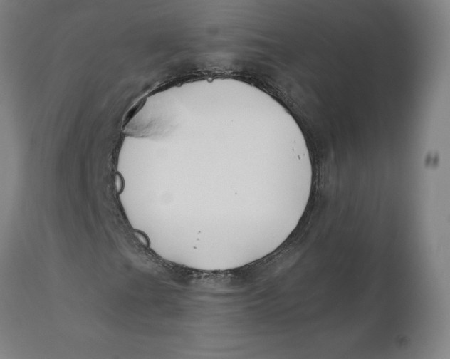 X0000110701201200907021949